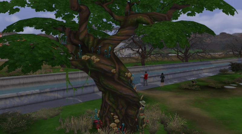 The Sylvan Tree